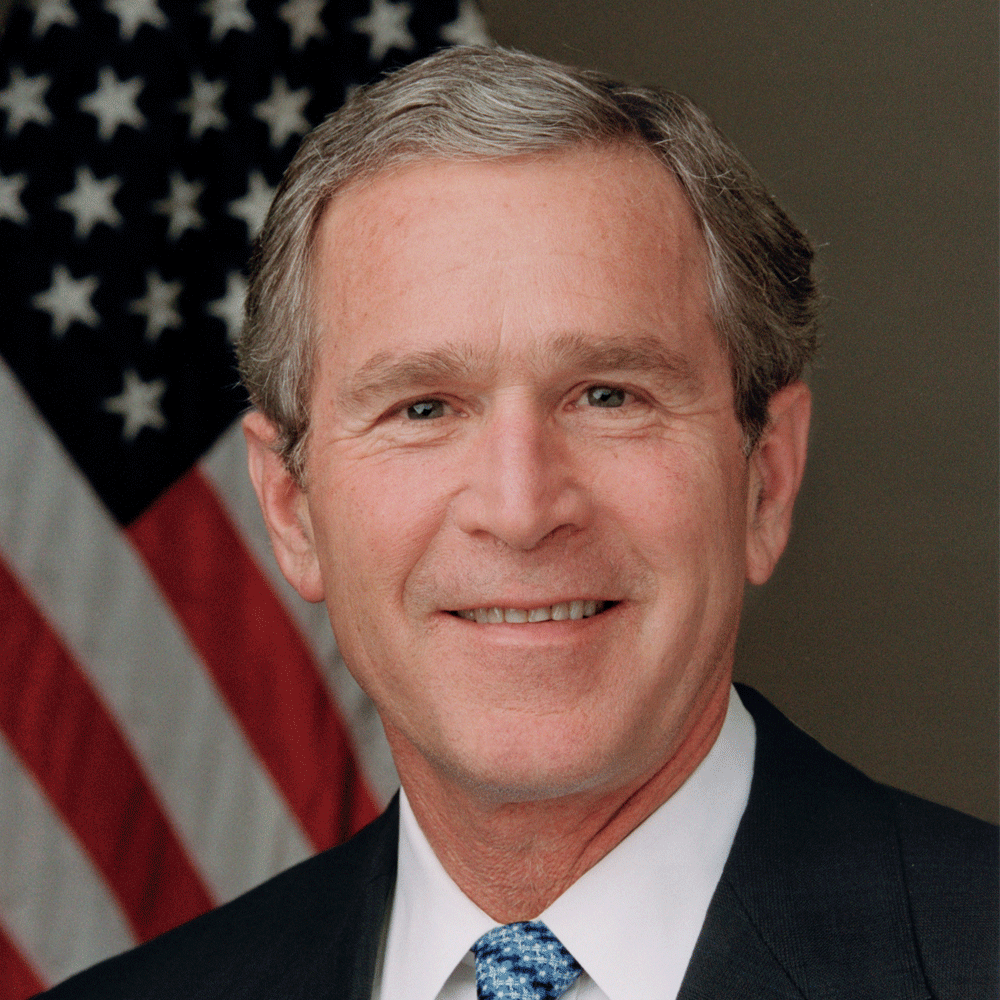 GW Bush Portrait