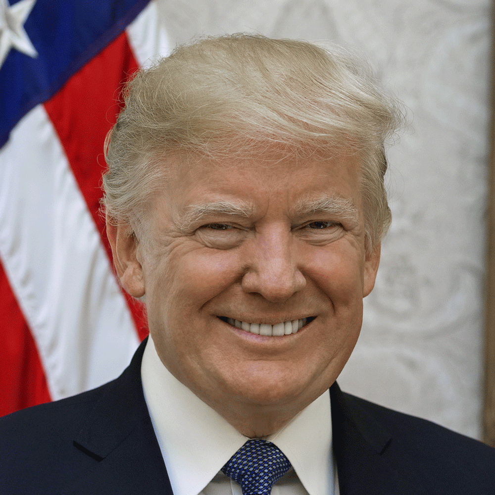 Trump Portrait