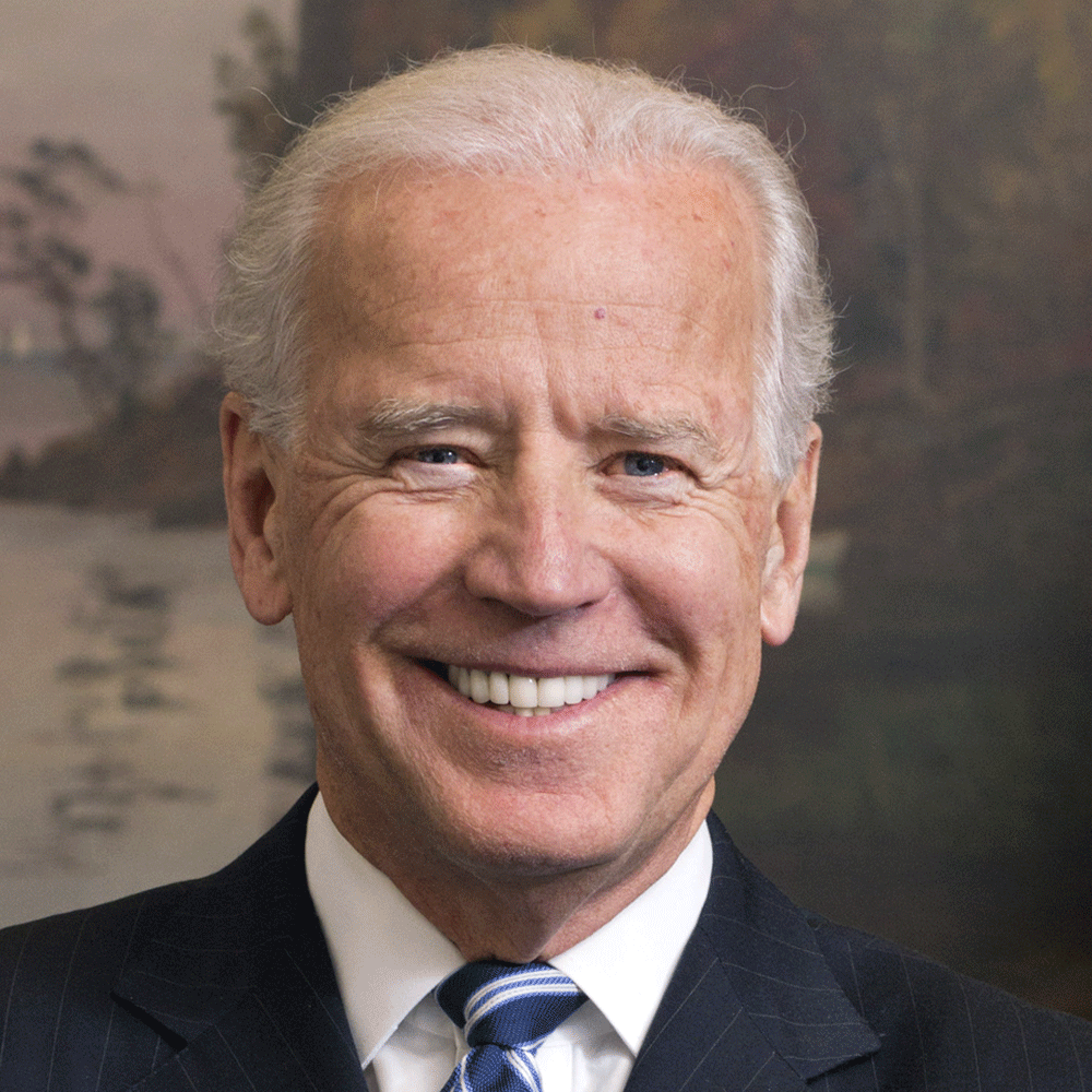 Biden Portrait